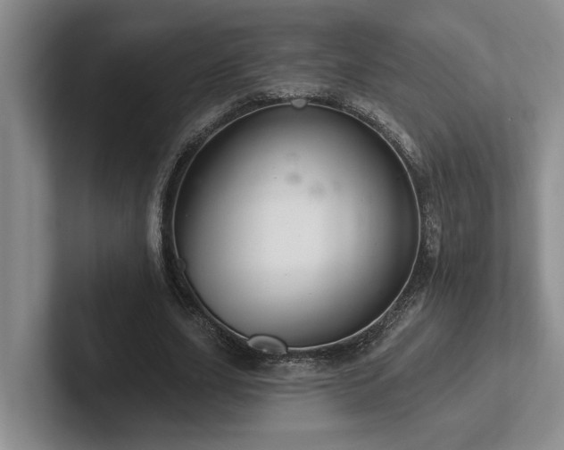 X0000102500631200808081349