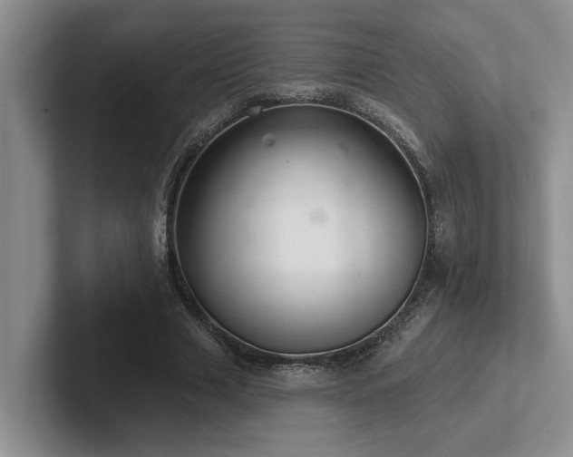 X0000102500633200808081349