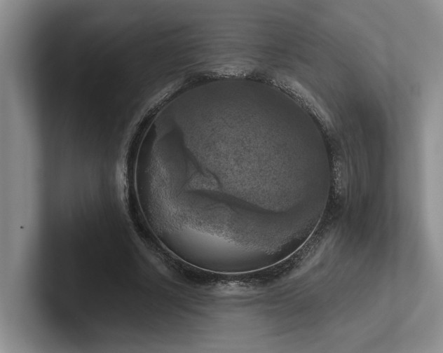 X0000102500634200808081349