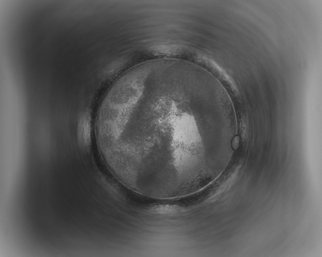 X0000102500637200808081349