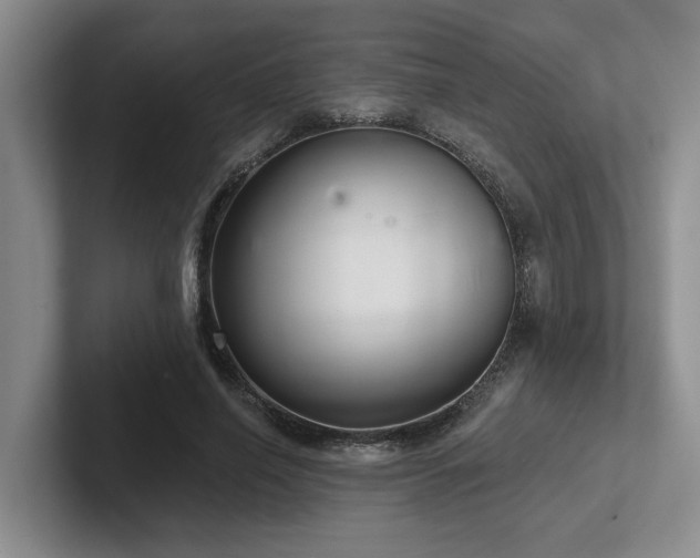 X0000102500638200808081349