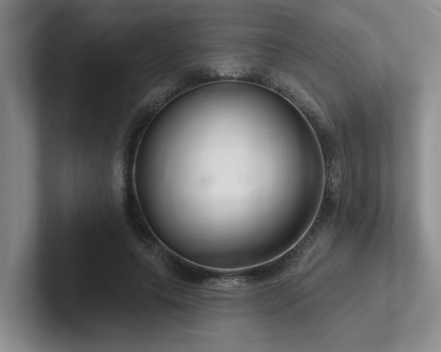 X0000102500639200808081349