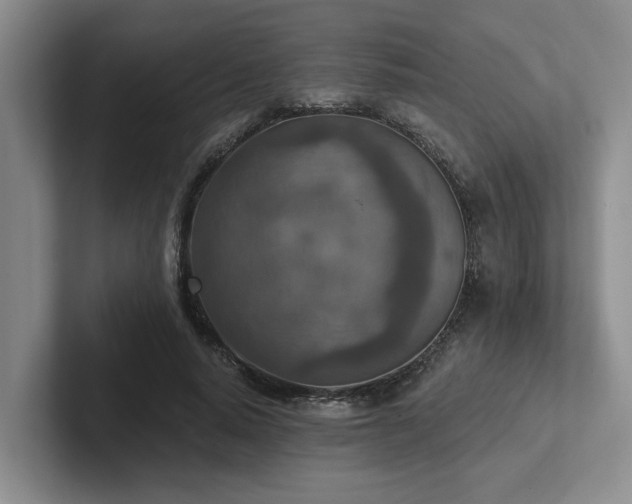 X0000102500640200808081349