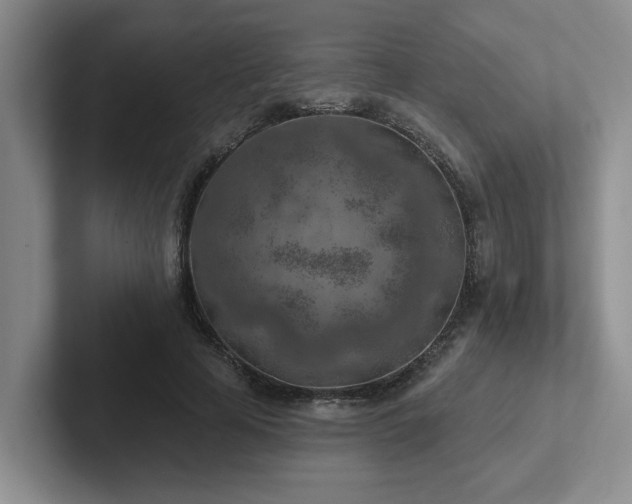 X0000102500641200808081350