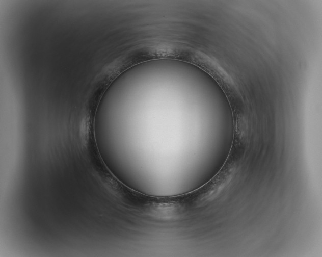 X0000102500645200808081350