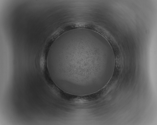 X0000102500648200808081350