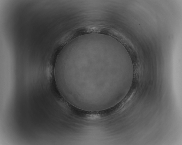 X0000102500649200808081350