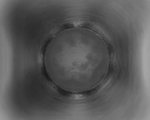 X0000102500650200808081350