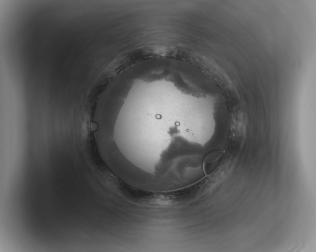 X0000102500656200808081350