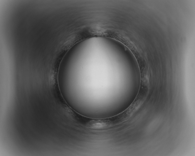 X0000102500658200808081350