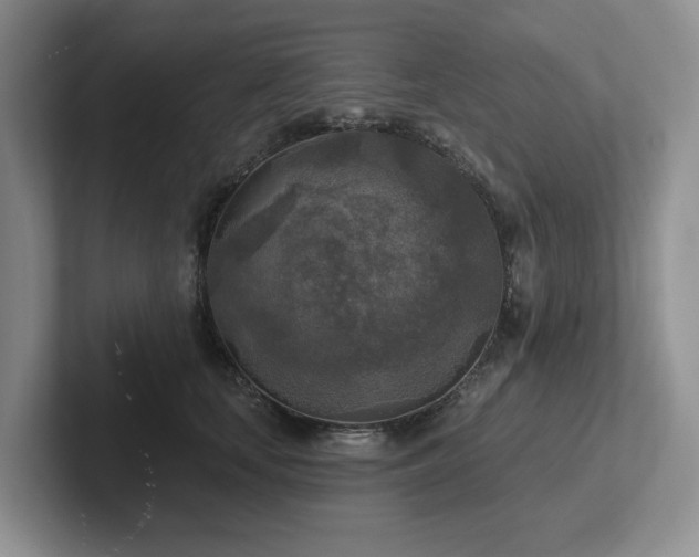 X0000102500659200808081350