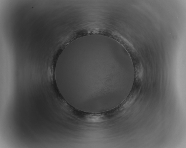 X0000102500661200808081350