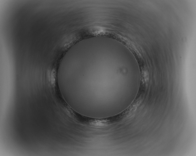 X0000102500664200808081350