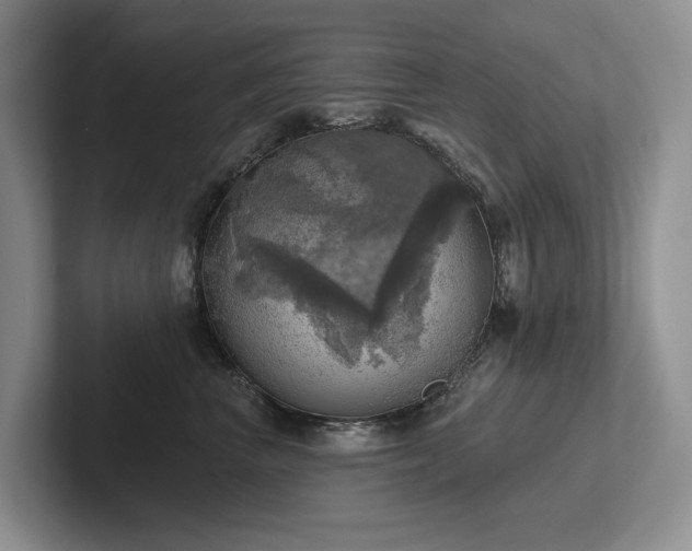 X0000102500667200808081350