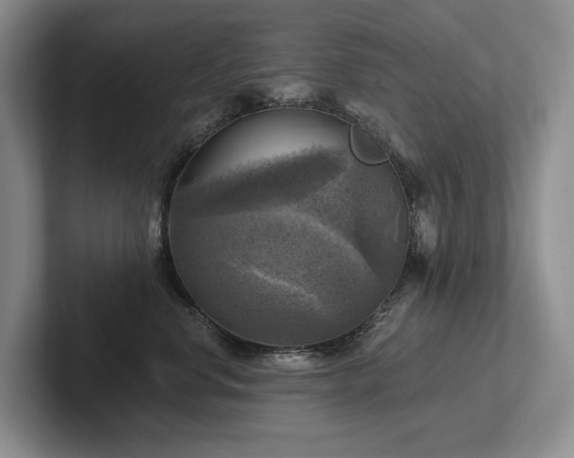 X0000102500668200808081350