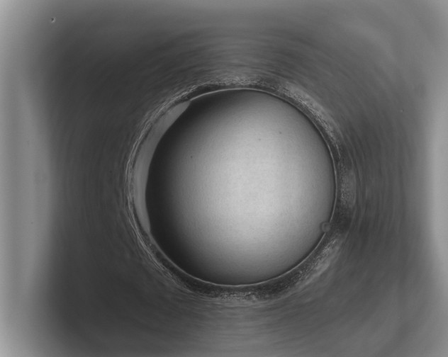 X0000102500673200808081349