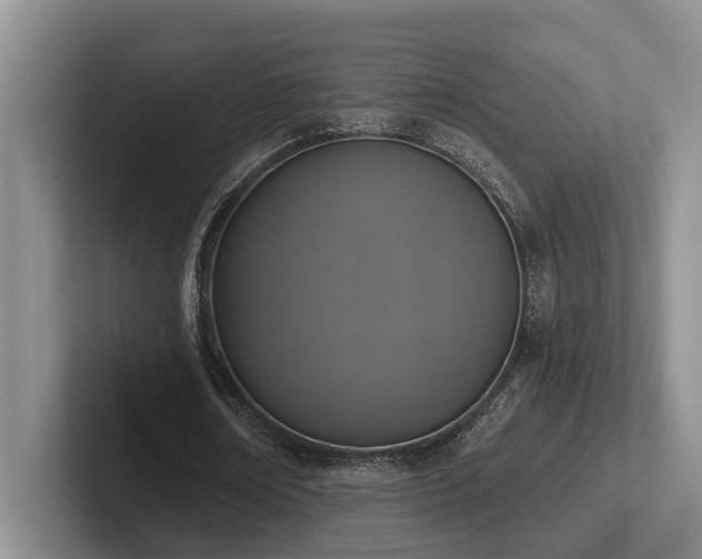 X0000102500674200808081349