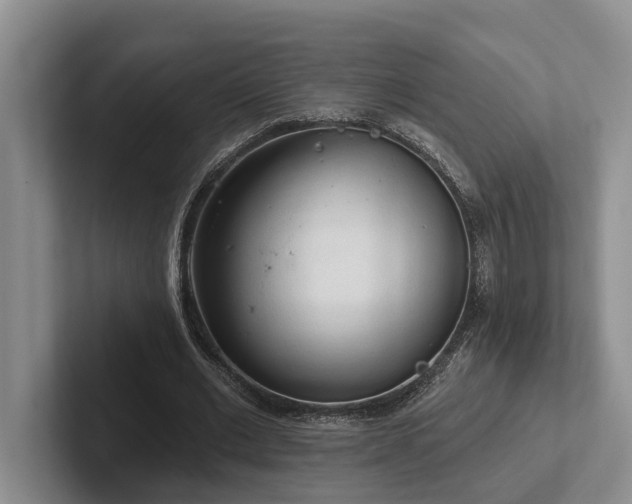 X0000102500677200808081349