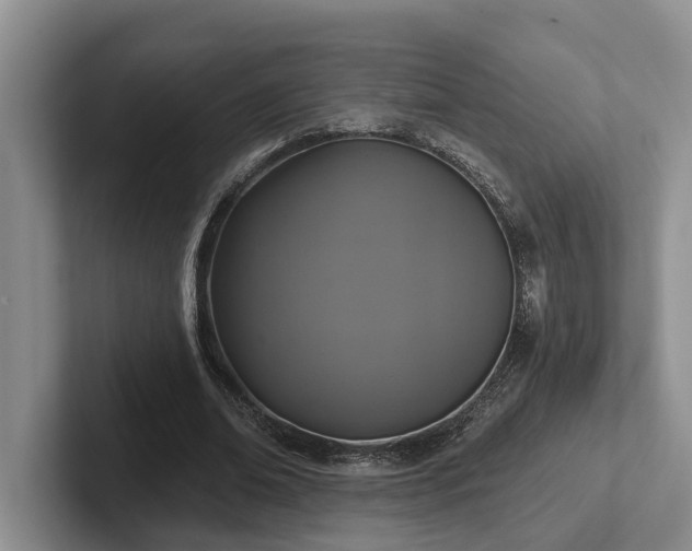X0000102500678200808081349