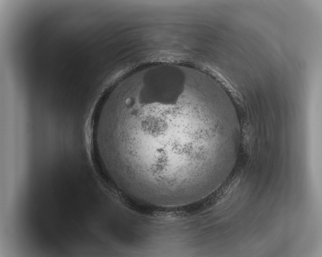 X0000102500679200808081349