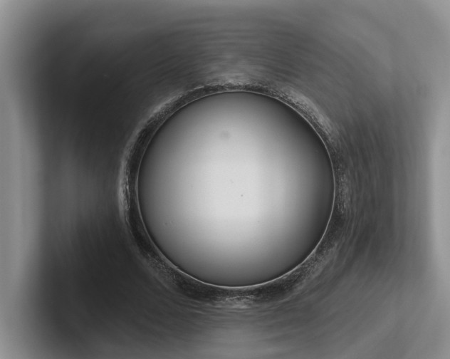 X0000102500680200808081349