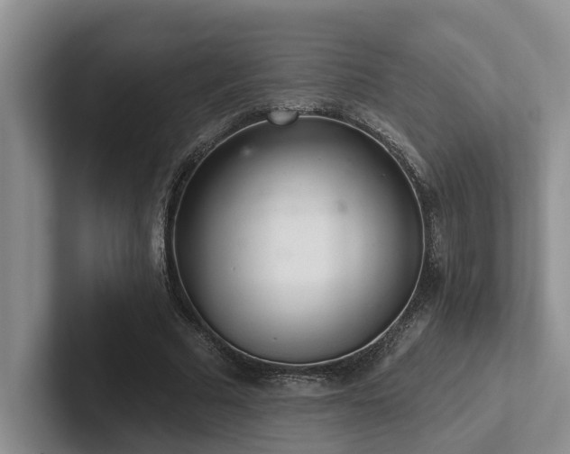 X0000102500681200808081349