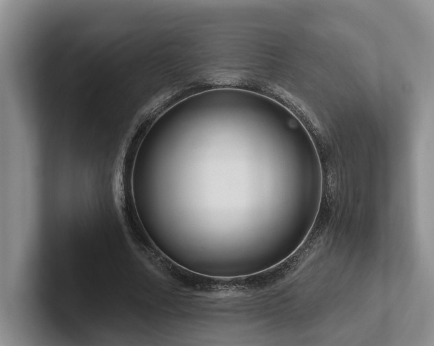 X0000102500682200808081349