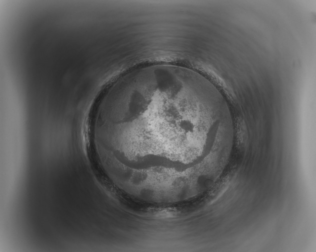 X0000102500683200808081349