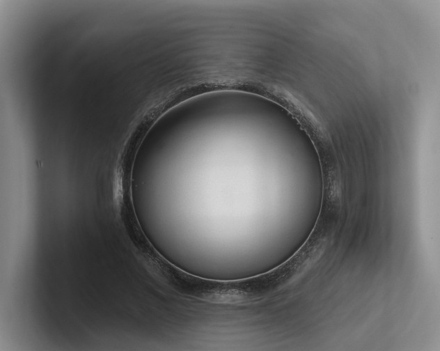 X0000102500685200808081349