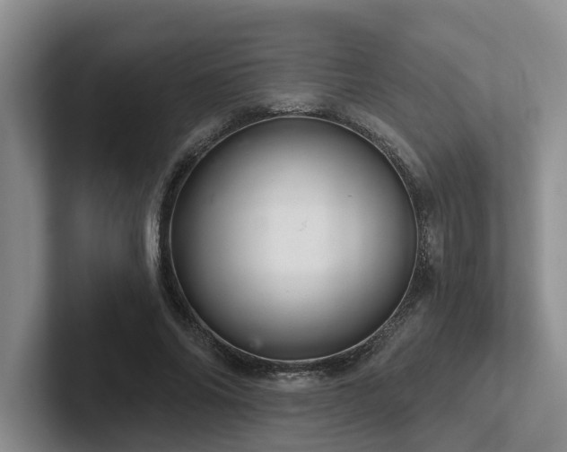 X0000102500686200808081349