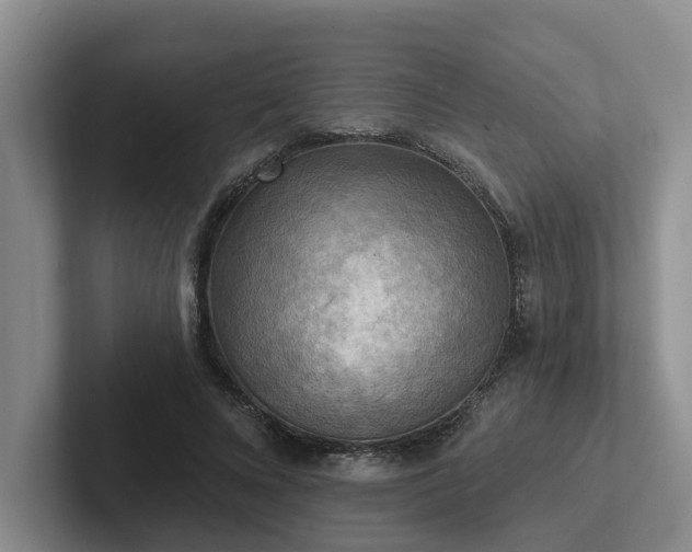 X0000102500688200808081349