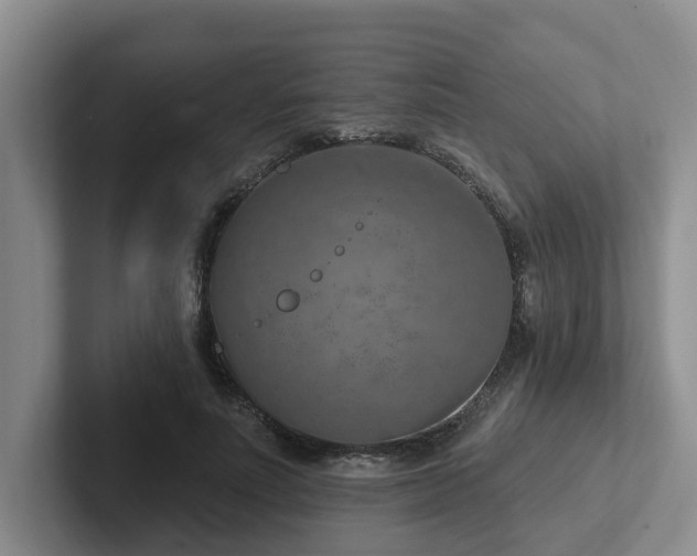 X0000102500691200808081349