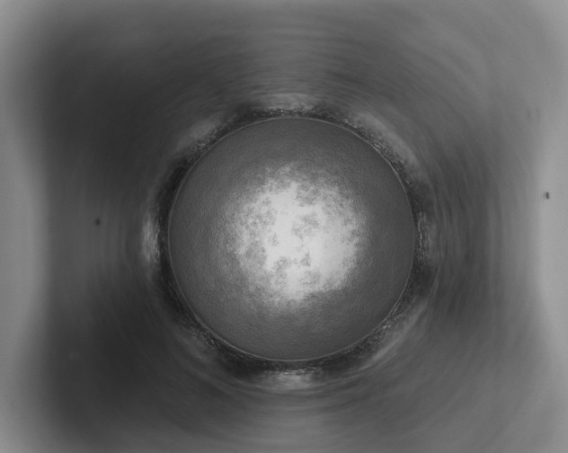 X0000102500692200808081349