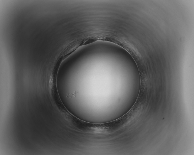 X0000102500693200808081349