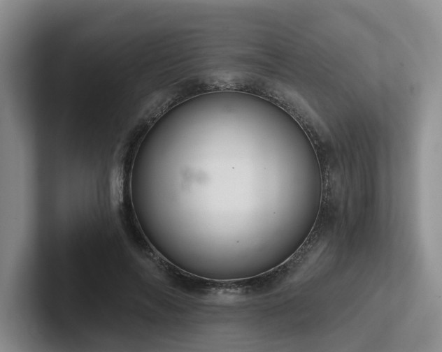 X0000102500694200808081349