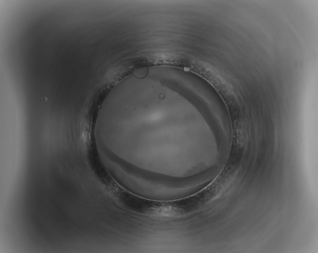 X0000102500695200808081349