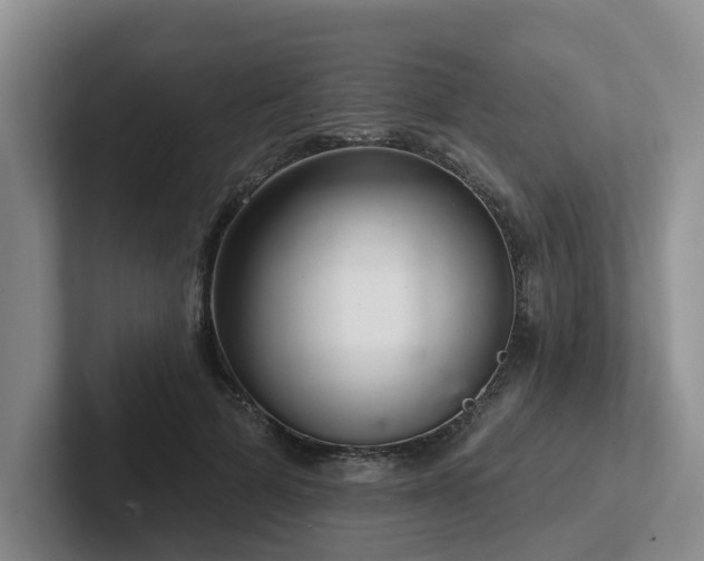 X0000102500697200808081349