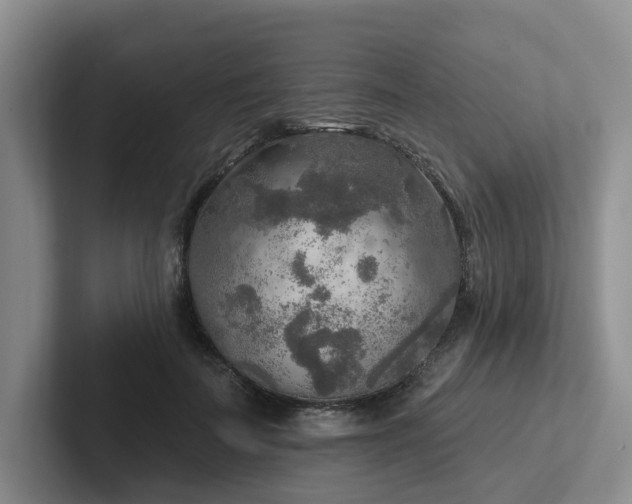 X0000102500699200808081349