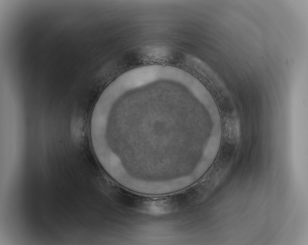 X0000102500701200808081349