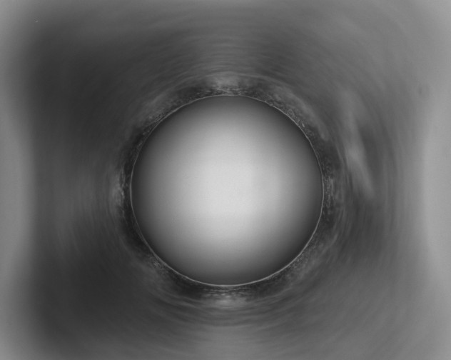 X0000102500702200808081349