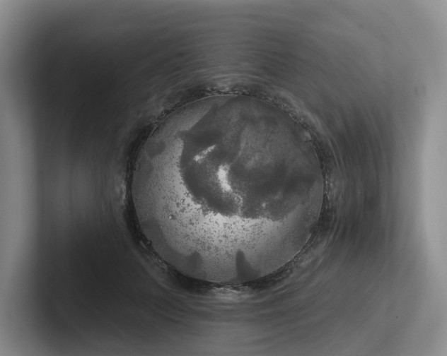 X0000102500703200808081349