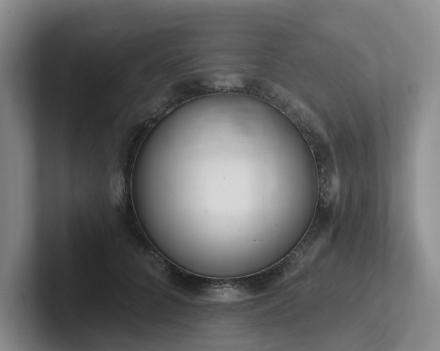 X0000102500704200808081349