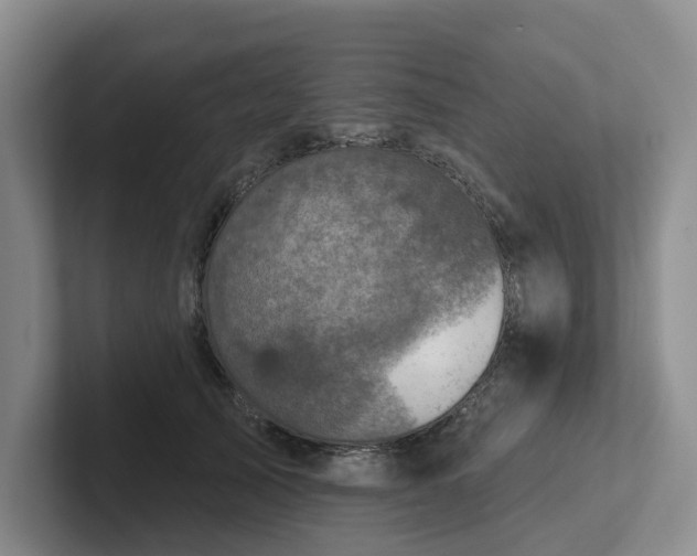 X0000102500705200808081349