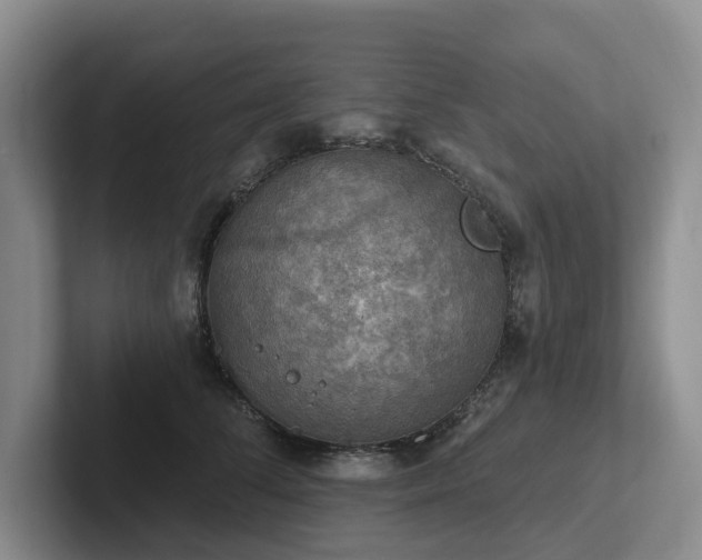 X0000102500708200808081349