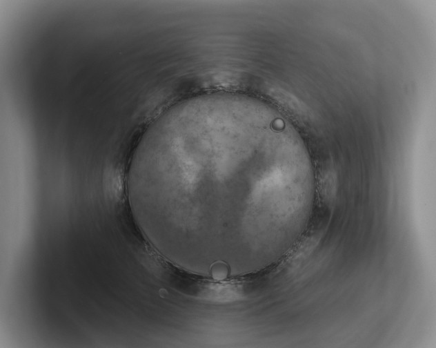 X0000102500709200808081349