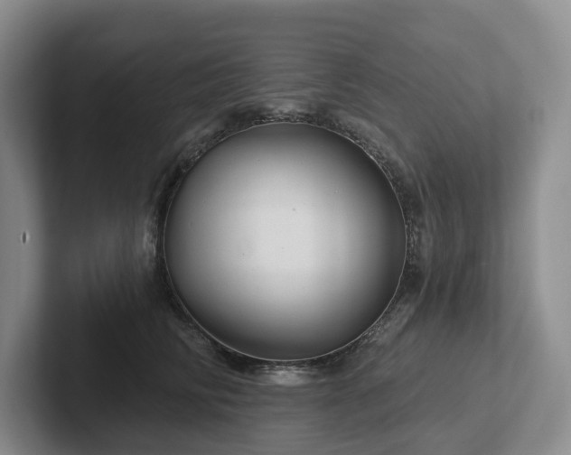 X0000102500710200808081349