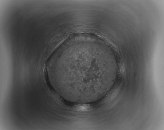 X0000102500711200808081349