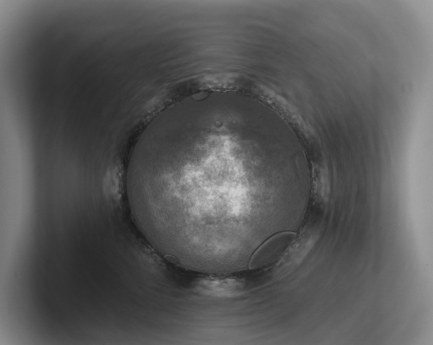 X0000102500712200808081349