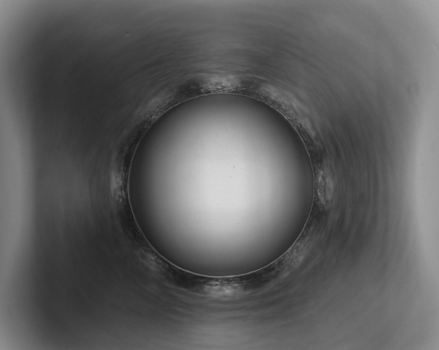 X0000102500714200808081349
