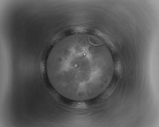 X0000102500715200808081349